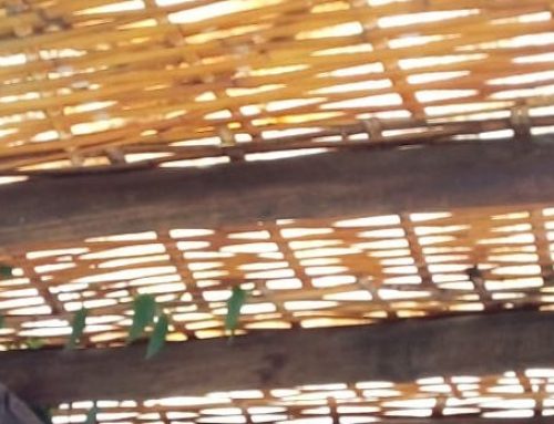 Revestimentos em Bambu – Design de interiores com bambu